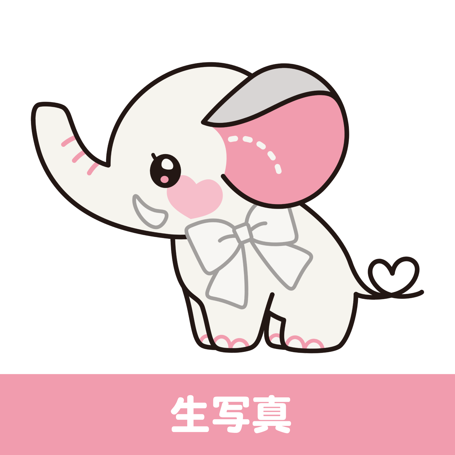 生写真 – 可憐なアイボリーOFFICIAL SHOP